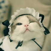 ZHA