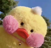 黑白