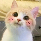 小珂kilakilakila