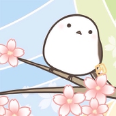 Cocoa_Blow1