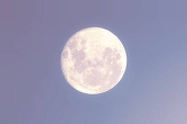 夜鹰星座