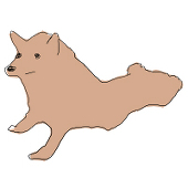 硝酸