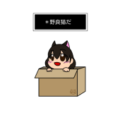 野良猫