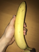 ちちしぼり♂