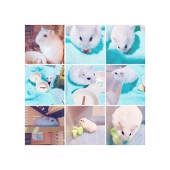 すず