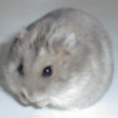 わびさび
