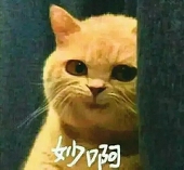 张张张小琛