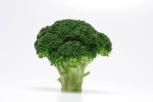 Dayu