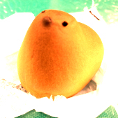 さがのもす
