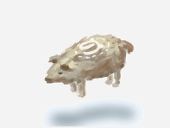 ebodai