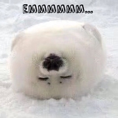 轰焦冻
