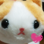 まるにゃん