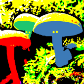 無透