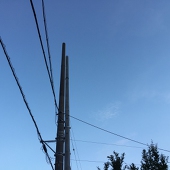 ちょも¨̮ポン