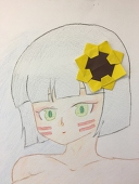ますど