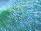 FTO