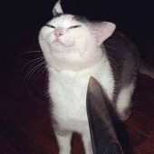 橙子