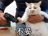 雀食虫