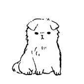 き