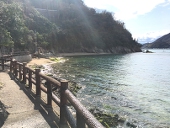 みみこ