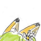 マ宮