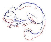 chameleon