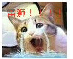 想睡雷狮有什么错