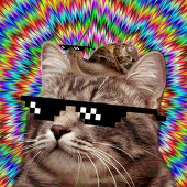 P4T0N