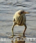 酱油嗷