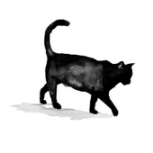爱吃云的猫先森