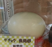 がんま
