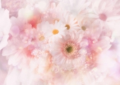 ❀♬*°