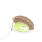 ぢくほ