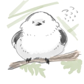 エナガ