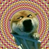 搞个毛
