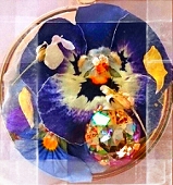 奏
