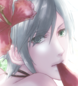 ドブス