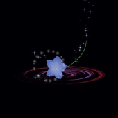 りのん