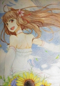 翔