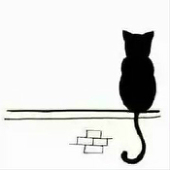 猫卞