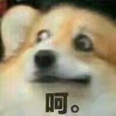 pupu