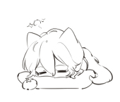 立方猫