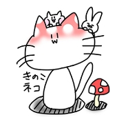 キノコ猫