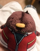 きょん