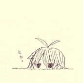 こめこ