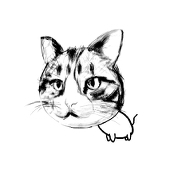 tomo