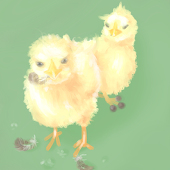 ｺ-ﾏ