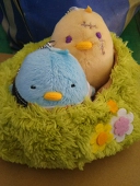 にちか
