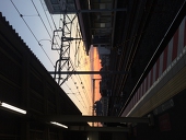 蝸牛