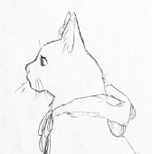 漣漪